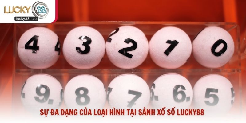 Sự đa dạng của loại hình tại sảnh xổ số Lucky88